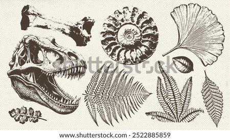 Prehistoric ammonite shell, dinosaur skull, ancient leaves imprints set . Dinosaur and prehistoric period collection of icons in monochrome style. Vector