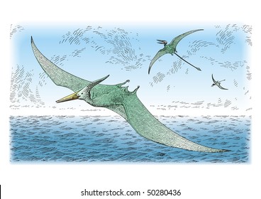 Prehistoric birds vector