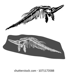 Prehistoric bones of animals isolated on white background. In black and white style. Can be used for printing on paper, stickers, badges, bijouterie, tattoo.