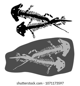 Prehistoric bones of animals isolated on white background. In black and white style. Can be used for printing on paper, stickers, badges, bijouterie, tattoo.