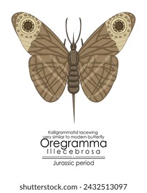 Prehistoric butterfly-like insect Oregramma illecebrosa from Jurassic period, very similar to modern butterfly