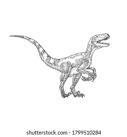 Prehistoric Dinosaur Doodle Vector Illustration. Hand Drawn Velociraptor Reptile Engraving Style Drawing. Isolated.