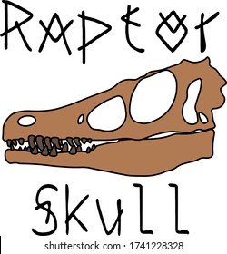 Prehistoric Dinosaur Fossil Raptor Skull in the "Doodle Style"