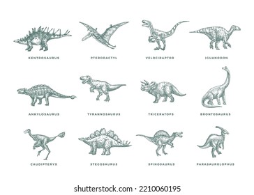 Prehistoric Dinosaurs Sketch Signs, Symbols or Illustrations Set. Hand Drawn Vector Ancient Reptiles Silhouettes Collection with T-rex, Raptor and others. Doodle Style Drawings Bundle. Isolated