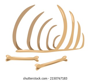 Prehistoric extinct animals and creatures fossils and bone skeleton structure. Archaeology museum exhibition, dinosaur or mammoth remnants. Ancient mammals and carnivores. Vector in flat style