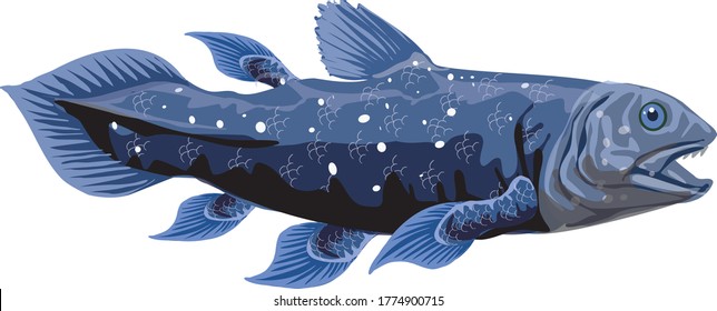 Prehistoric Fish Coelacanth Wild Life Animal Stock Vector (Royalty Free ...