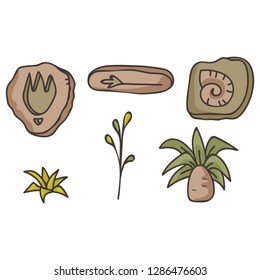 Prehistoric Fossil and Ancient Plant Vector Illustrations