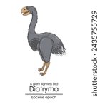 A prehistoric giant flightless bird, Diatryma, from the Eocene epoch. 