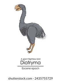 A prehistoric giant flightless bird, Diatryma, from the Eocene epoch. 