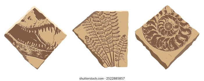 Prehistoric imprints of Dinosaur skull, fern, ammonite in stone cuts. Realistic vector illustration in a flat style isolated on white background.