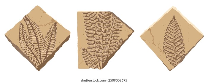 Prehistoric Plant fossil, ancient stone fern leaf imprint, ancient nature, paleontology science. Cartoon beige rock with silhouette of tropical jungle forest plant, Jurassic fern fossil. Vector set