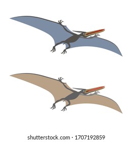 prehistoric reptile of the Jurassic period, flying grey pterodactyl with wings and a crest, color vector illustration isolated on white background in cartoon and hand drawn style