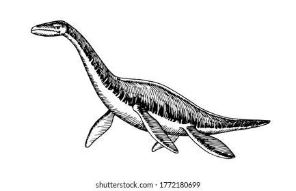 prehistoric reptile of the Jurassic period, giant plesiosaur with fins, sea raptor, vector illustration with black ink lines isolated on a white background in a hand drawn style