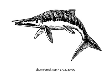 prehistoric reptile of the Jurassic period, giant ichthyosaur with fins, sea raptor, vector illustration with black ink lines isolated on a white background in a hand drawn style