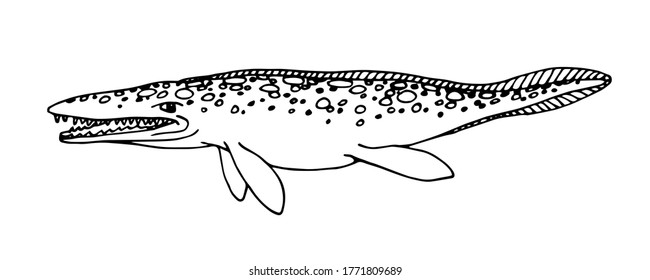 prehistoric reptile of the Jurassic period, spotted plesiosaur, sea raptor, vector illustration with black contour lines isolated on a white background in a hand drawn style