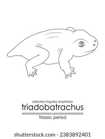 Anfibio anfibio prehistórico de rana salientiana Triadobatrachus, una criatura del periodo triásico, arte de línea blanca y negra, perfecto para colorear y propósitos educativos.