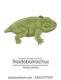 Anfibio salentiano prehistórico tipo rana Triadobatrachus, una criatura del período triásico, ilustración colorida sobre un fondo blanco