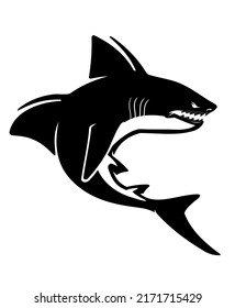 Prehistoric Shark, Saivodus Striatus Extinct Marine Predator