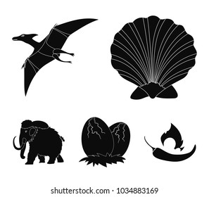 Prehistoric shell, dinosaur eggs,pterodactyl, mammoth. Dinosaur and prehistoric period set collection icons in black style vector symbol stock illustration web.