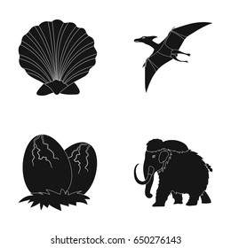Prehistoric shell, dinosaur eggs,pterodactyl, mammoth. Dinosaur and prehistoric period set collection icons in black style vector symbol stock illustration web.