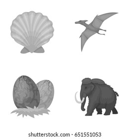 Prehistoric shell, dinosaur eggs,pterodactyl, mammoth. Dinosaur and prehistoric period set collection icons in monochrome style vector symbol stock illustration web.