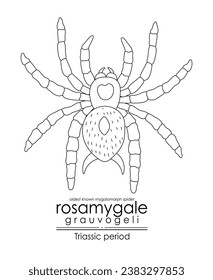 Prehistoric spider Rosamygale grauvogeli, a Triassic period creature, oldest known mygalomorph. Black and white line art, perfect for coloring and educational purposes.