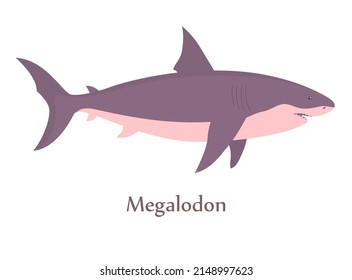 Prehistoric underwater shark megalodon with fins. Predatory sea lizard. Scary jaws with teeth. Wildlife of the Jurassic period. Vector illustration isolated on white background