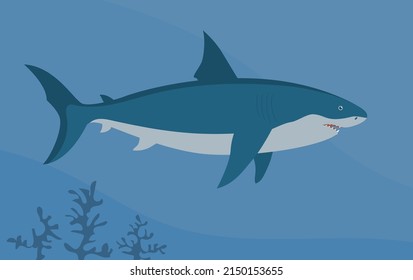 Prehistoric underwater shark megalodon with fins. Predatory sea fish. Scary jaws with teeth. Wildlife of the Jurassic period. Vector illustration