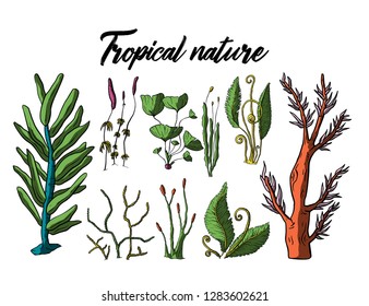 Prehistoric vector plants. Differenr extinct greenery, Cartoon botanical rainforest set.