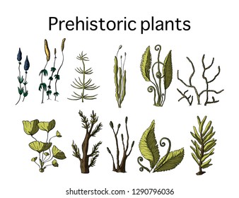 Prehistoric vector plants. Differenr extinct greenery, Cartoon botanical rainforest set.