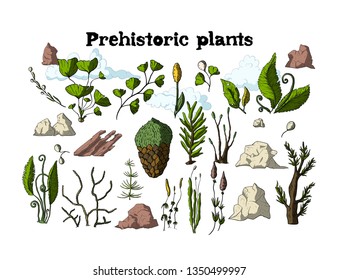 Prehistoric vector plants with stones. Different extinct greenery, Cartoon botanical rainforest set.