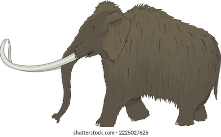 Prehistoric Wooly Mammoth Vector Illustration