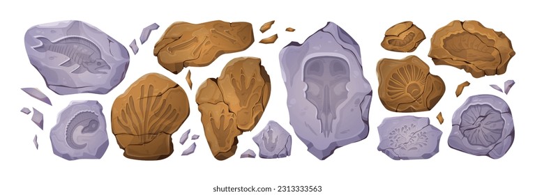 Vector de huellas fósiles de piedra antigua de prehistoria. El esqueleto de dinosaurio, planta, pez y concha de la caricatura jurásica conjunto. Museo de paleontología prehistórica de pata aislada y trazas de cráneo e ilustración ósea