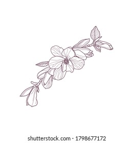 Premade arrangement magnolia flowers. Hand drawn magnolia for greeting card