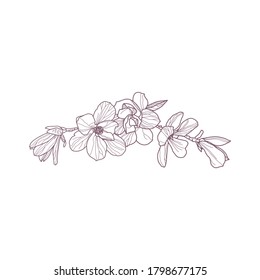 Premade arrangement magnolia flowers. Hand drawn magnolia for greeting card