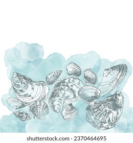 Pre-made design with shells, unique hand drawn vector elements , watercolor splash and place for text. Vector layout decorative greeting card or invitation design background. 