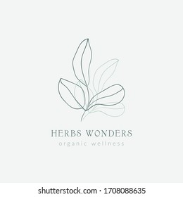 Premade Logo template with line drawing leaves illustraton, trendy earthy hues. Vector Illustration. Logotype for business, Branding, hand drawn