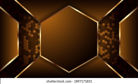 Premium abstract background with colorfull color. Vector background Eps10