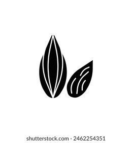 premium almond vector type icon