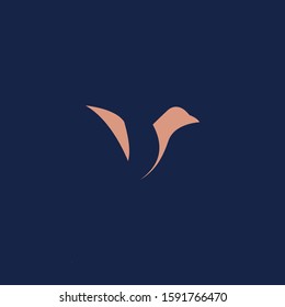 Premium Bird logo with modern concept. Bird icon vector illustration