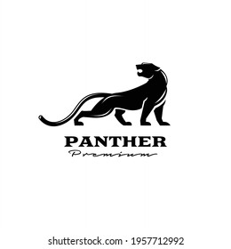 premium black panther vector logo illustration design