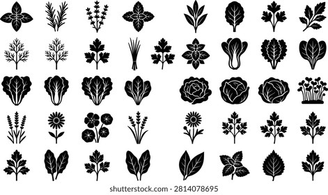A premium black silhouette collection featuring culinary herbs, leafy vegetables, edible plants, and botanical elements in a clean vector style. Perfect for organic food packaging, gardening, agriculture, restaurant menus, educational materials, and wellness branding.