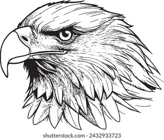 Premium Black And White Bold Eagle Drawing Vector Illustration