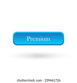 Premium   blue vector button for a site
