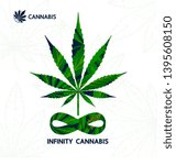Premium cannabis plant logo vector illustration.