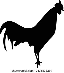 Premium Chicken Vector Graphics silhouette