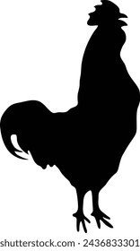 Premium Chicken Vector Graphics silhouette