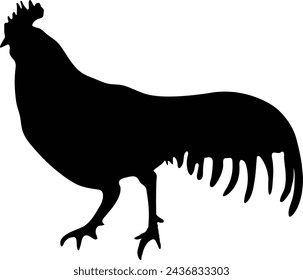 Premium Chicken Vector Graphics silhouette