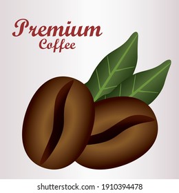 premium coffee lettering with bens and leaves, vector illustration design