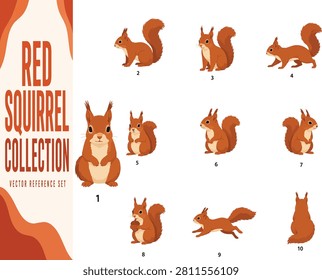 Premium collection of ten consistent flat graphic vector illustrations featuring the Red Squirrel (Sciurus vulgaris) in multiple natural poses and viewpoints. Includes standing front, side, three-quarter, walking, sitting, looking left, looking right, holding an acorn, running and back view. Simplified geometric construction with solid colors only. Ideal for wildlife education, branding, packaging and commercial stock projects.